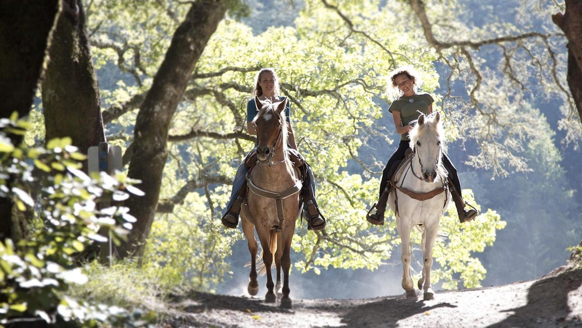 Il Vecchio Mulino Toscana Radicondoli Bagian luar foto